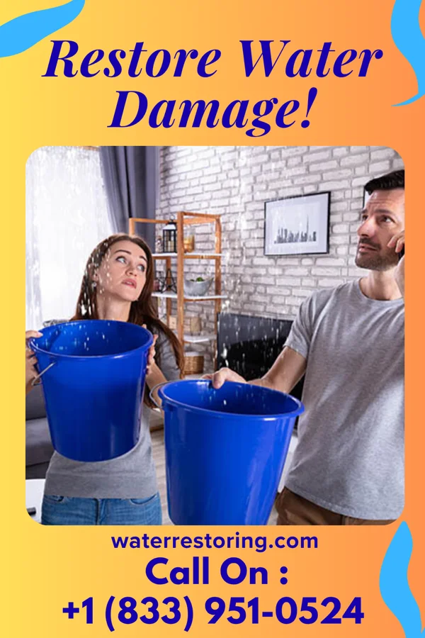 water restoration Prime Flood Recovery Solutions Rockton